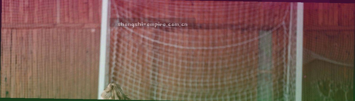 回纹与网格交叠的抽象纹理，表现约定的秩序感